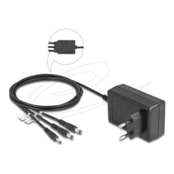 Delock - Sítový adaptér - AC 100-240 V - 36 Watt - výstupní konektory: 3 - cerná