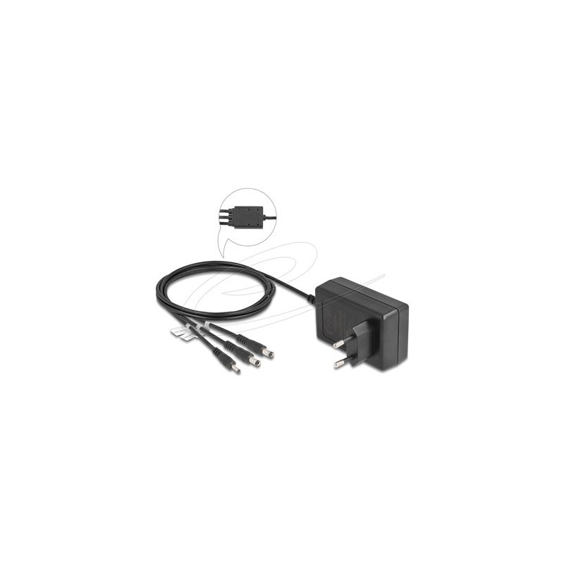 Delock - Sítový adaptér - AC 100-240 V - 36 Watt - výstupní konektory: 3 - cerná