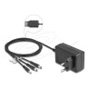 Delock - Sítový adaptér - AC 100-240 V - 36 Watt - výstupní konektory: 3 - cerná