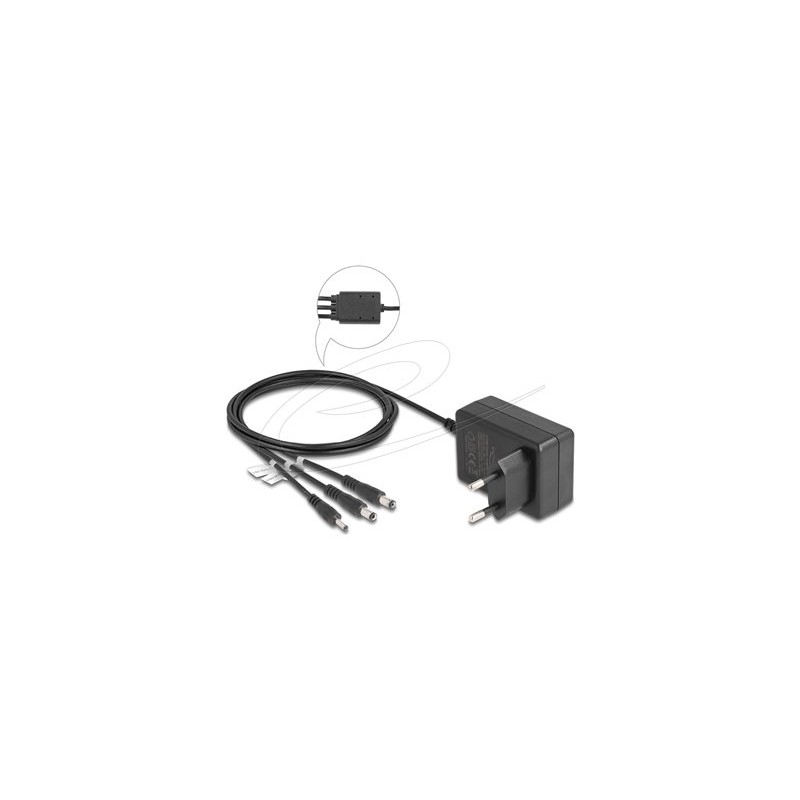 Delock - Sítový adaptér - AC 100-240 V - 10 Watt - výstupní konektory: 3 - cerná