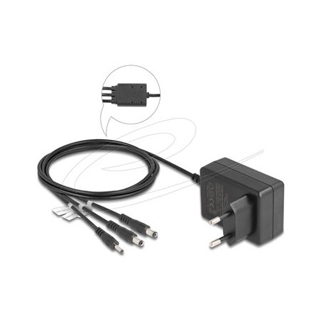 Delock - Sítový adaptér - AC 100-240 V - 10 Watt - výstupní konektory: 3 - cerná