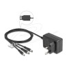 Delock - Sítový adaptér - AC 100-240 V - 10 Watt - výstupní konektory: 3 - cerná