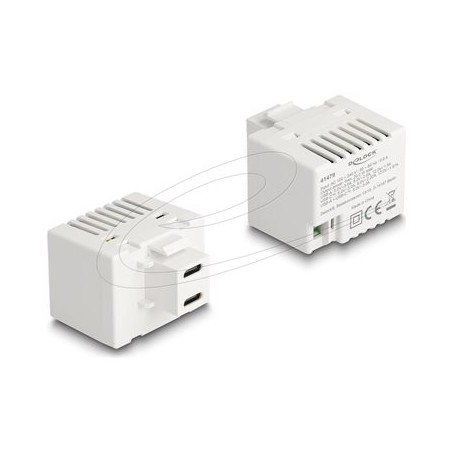 Delock - Sítový adaptér - 20 Watt - 3 A - PD - 2 výstupní konektory (24 pin USB-C) - bílá