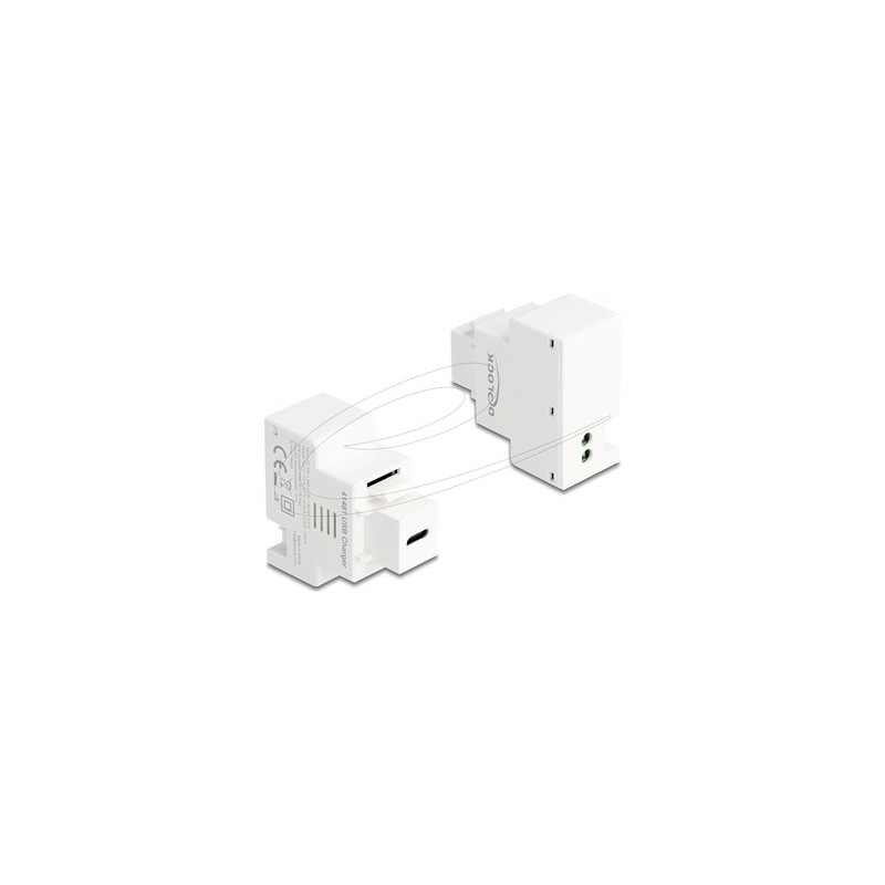 Delock - Zacvakávací modul (keystone) - PD 20 W - USB typu C - 1 zásuvka USB-C - 3 A - bílá