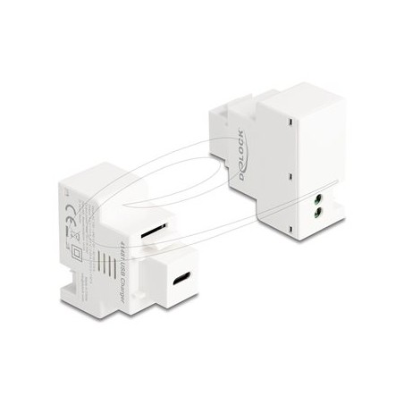 Delock - Zacvakávací modul (keystone) - PD 20 W - USB typu C - 1 zásuvka USB-C - 3 A - bílá