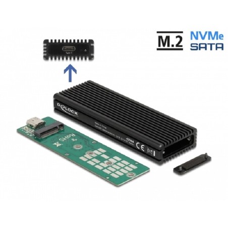 Delock - Kryt úložiště - M.2 - M.2 NVMe Card / SATA 6Gb/s - USB 3.2 (Gen 2) - černá