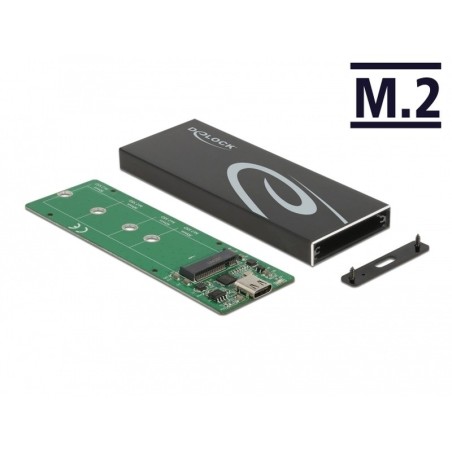 Delock - Kryt úložiště - M.2 - M.2 Card / SATA 6Gb/s - USB 3.2 (Gen 2) - černá