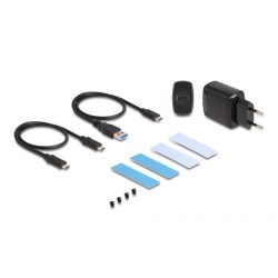 Delock - Kryt úložište - M.2 - M.2 NVMe Card / PCIe (NVMe) - RAID JBOD, RAID 0, 1 - USB 3.2 (Gen 2x2) - cerná
