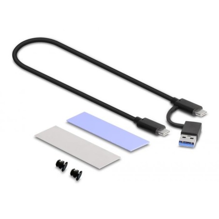 Delock - Kryt úložište - M.2 - M.2 Card (PCIe NVMe & SATA) / SATA SSD - USB-C 3.1 (Gen 2) - šedá