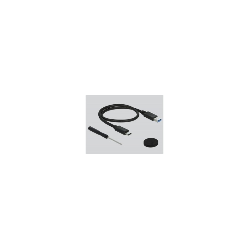 Delock 2.5" External Enclosure SATA HDD / SSD USB 3.0 - Kryt úložiště - 2.5" - SATA 6Gb/s - USB 3.1 (Gen 2) - černá