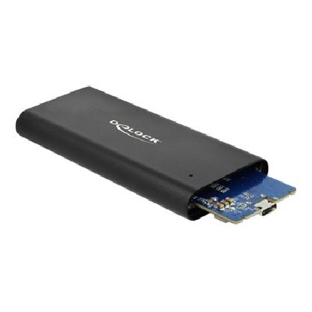 Delock - Kryt úložiště - M.2 - M.2 NVMe Card - USB 3.1 (Gen 2) - černá