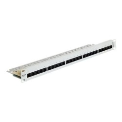 Delock - Propojovací panel - CAT 3 - RJ-45 X 25 - světle šedá, RAL 7035 - 1U - 19"