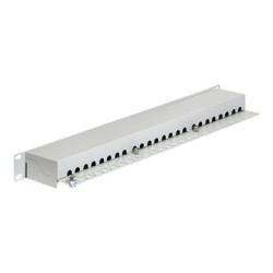 Delock - Propojovací panel - CAT 6 - RJ-45 X 24 - světle šedá - 1U - 19"