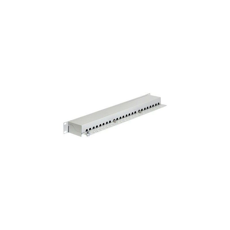 Delock - Propojovací panel - CAT 6 - RJ-45 X 24 - světle šedá - 1U - 19"