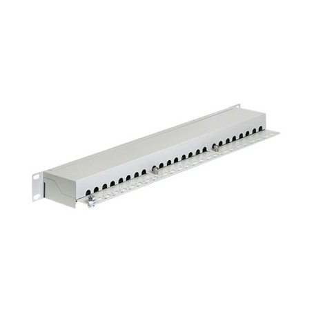 Delock - Propojovací panel - CAT 6 - RJ-45 X 24 - světle šedá - 1U - 19"