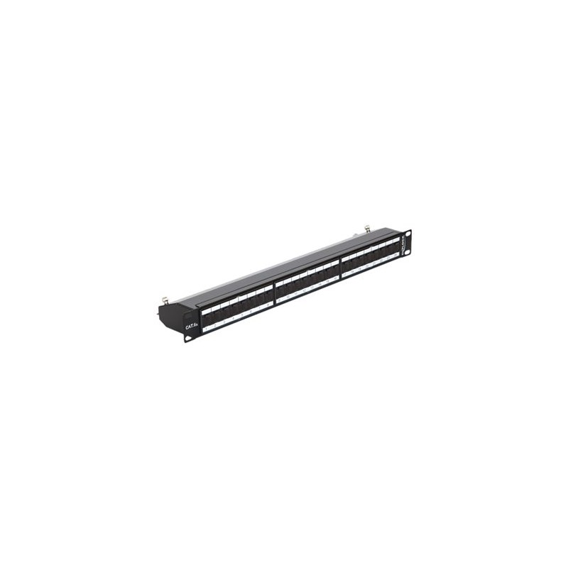 Delock - Propojovací panel - CAT 6a - RJ-45 X 24 - hluboce černá, RAL 9005 - 1U - 19"