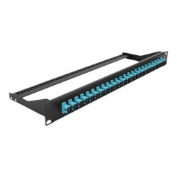 Delock - Propojovací panel - montáž do racku - SC MM X 24 - cerná, vode - barva - 1U - 19"