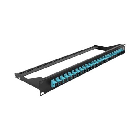 Delock - Propojovací panel - montáž do racku - SC MM X 24 - cerná, vode - barva - 1U - 19"