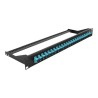 Delock - Propojovací panel - montáž do racku - SC MM X 24 - cerná, vode - barva - 1U - 19"