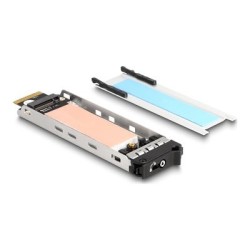 Delock - Zásuvka pro pevný disk - M.2 NVMe Card