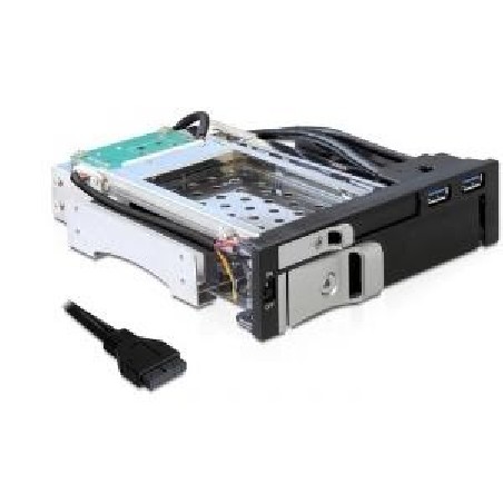 Delock 5.25 Mobile Rack for 1 x 2.5 + 1 x 3.5 SATA HDD + 2 x USB 3.0 Ports - Skladovací mobilní rack - 2.5", 3.5"