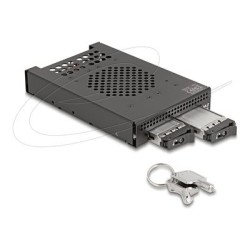 Delock - Skladovací mobilní rack - M.2 47117