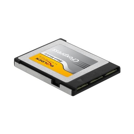 Delock - Paměťová karta flash - 256 GB - CFexpress