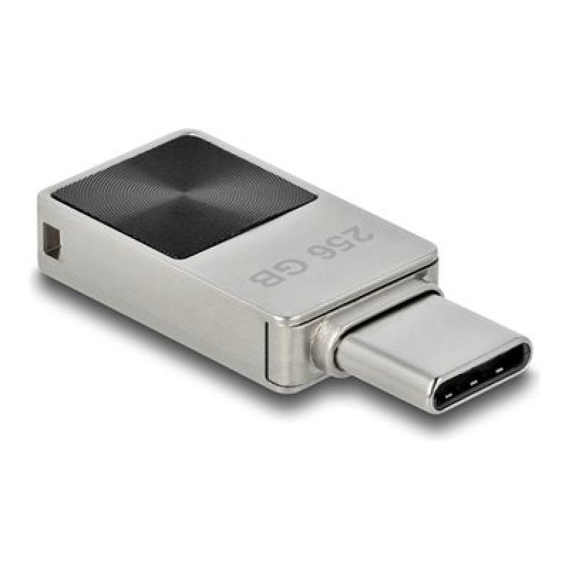 Delock - Jednotka USB flash - 256 GB - USB-C 54009