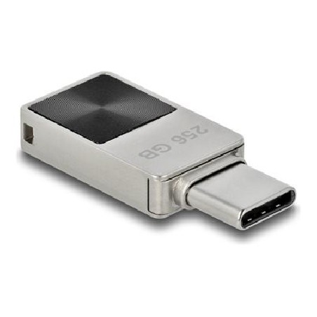 Delock - Jednotka USB flash - 256 GB - USB-C 54009