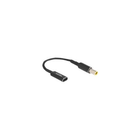 Delock - Adaptér napájení - 24 pin USB-C (F) do DC jack 7,9 x 5,5 mm (M) - 19.5 V - 3 A - 15 cm - cerná