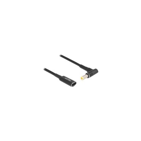 Delock - Adaptér konektoru k napájení - USB-C (pouze napájení) (F) do DC jack 5,5 x 1,7 mm (M) pravoúhlý - 19.5 V - 3 A - 15 m