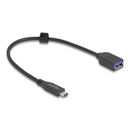 Delock - USB kabel - 24 pin USB-C (M) do USB (F) - 25 cm - rychlost prenosu dat až 10 Gbps, pozlacené kontakty - cerná