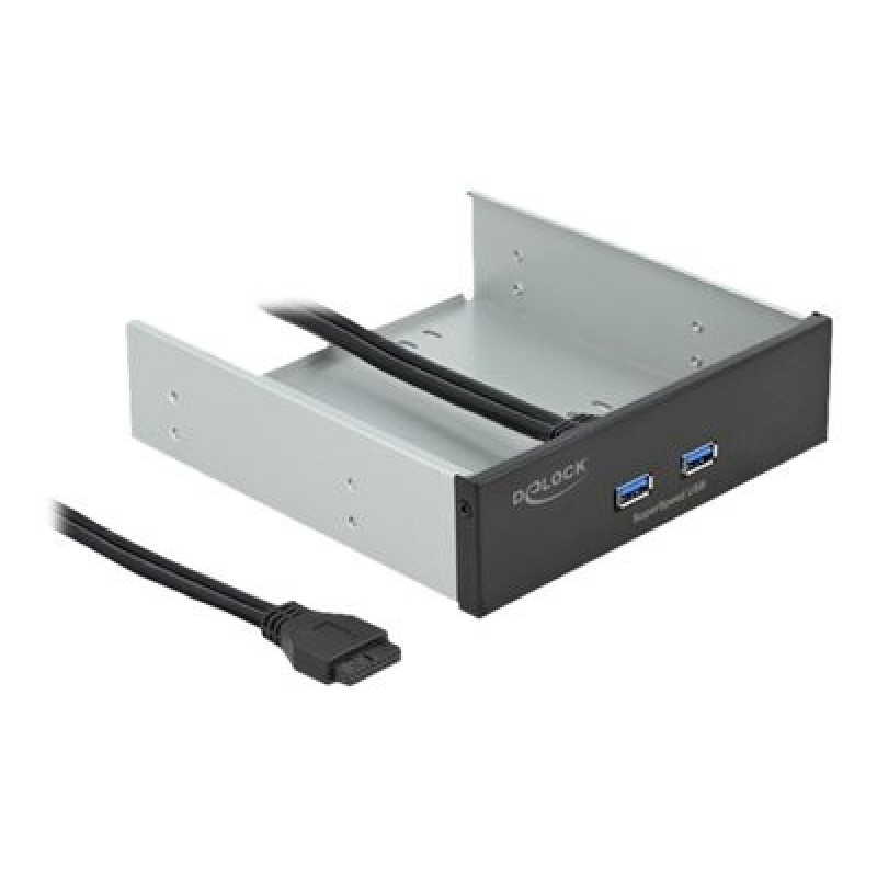 Delock - Panel portů úložiště - USB 3.2 Gen 1 x 2 - černá