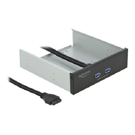 Delock - Panel portů úložiště - USB 3.2 Gen 1 x 2 - černá