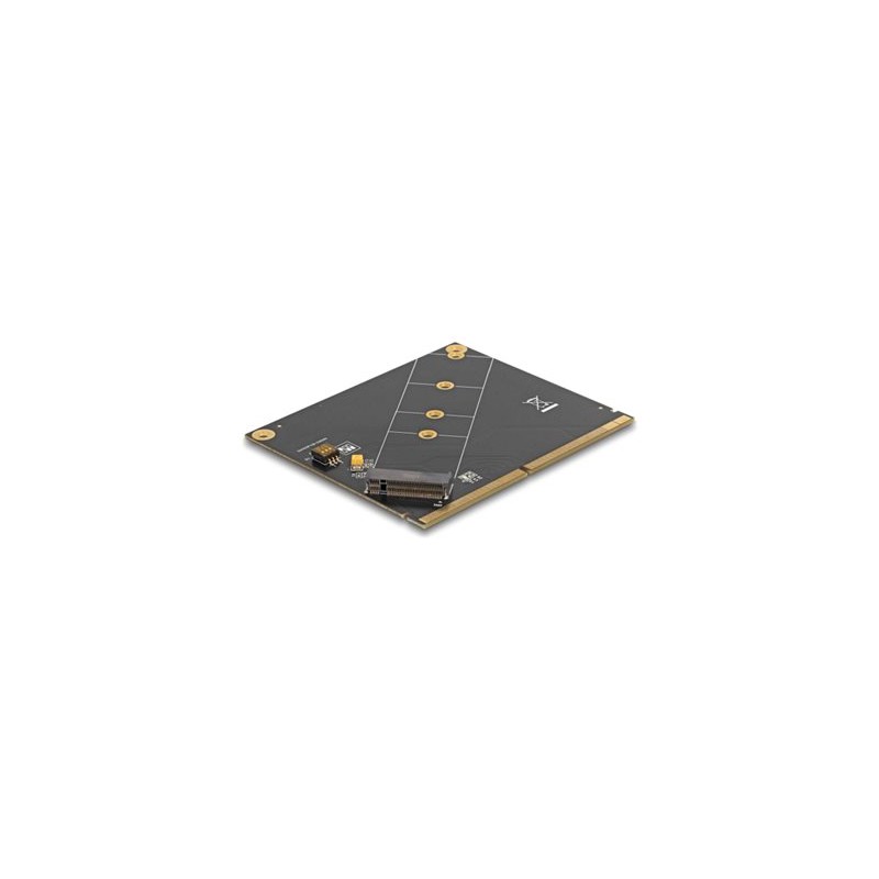 Delock - Radic úložište - M.2 NVMe Card / PCIe 4.0 (NVMe) - MXM 3.0 type-A