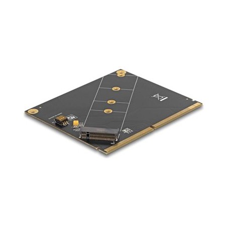 Delock - Radic úložište - M.2 NVMe Card / PCIe 4.0 (NVMe) - MXM 3.0 type-A