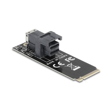 Delock - Adaptér rozhraní - M.2 2260 - M.2 NVMe Card / PCIe 4.0 (NVMe) - M.2 Card