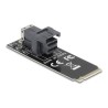 Delock - Adaptér rozhraní - M.2 2260 - M.2 NVMe Card / PCIe 4.0 (NVMe) - M.2 Card