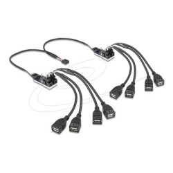 Delock - Rozbocovac - 8 x USB 2.0 - interní