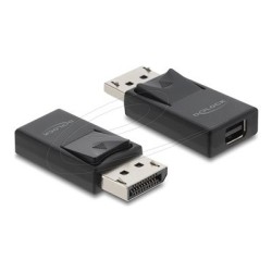 DisplayPort to Mini DisplayPort Adapter, DisplayPort to Mini DisplayPort Adapter