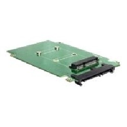 Delock Converter SATA 22 pin mSATA - Řadič úložiště - mSATA - SATA 3Gb/s - SATA 3Gb/s