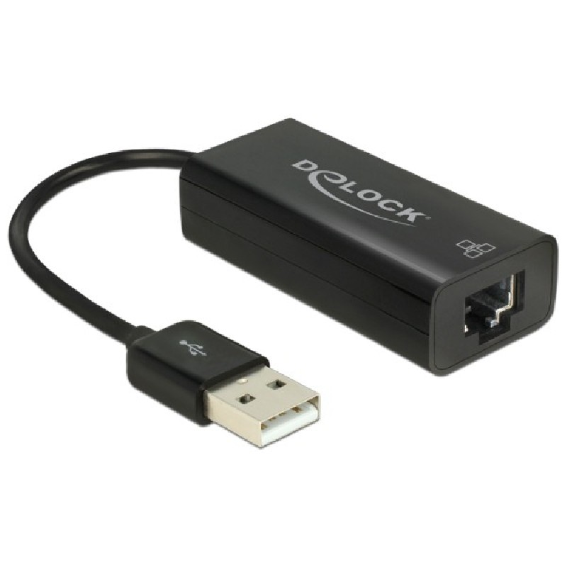 Delock Adapter USB 2.0 LAN 10/100 Mb/s - Síťový adaptér - USB 2.0 - 10/100 Ethernet