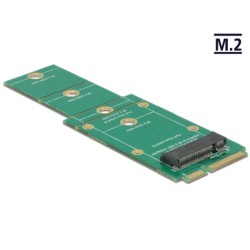 Delock Adapter M.2 NGFF mSATA - Radic úložište - M.2 - M.2 Card - mSATA