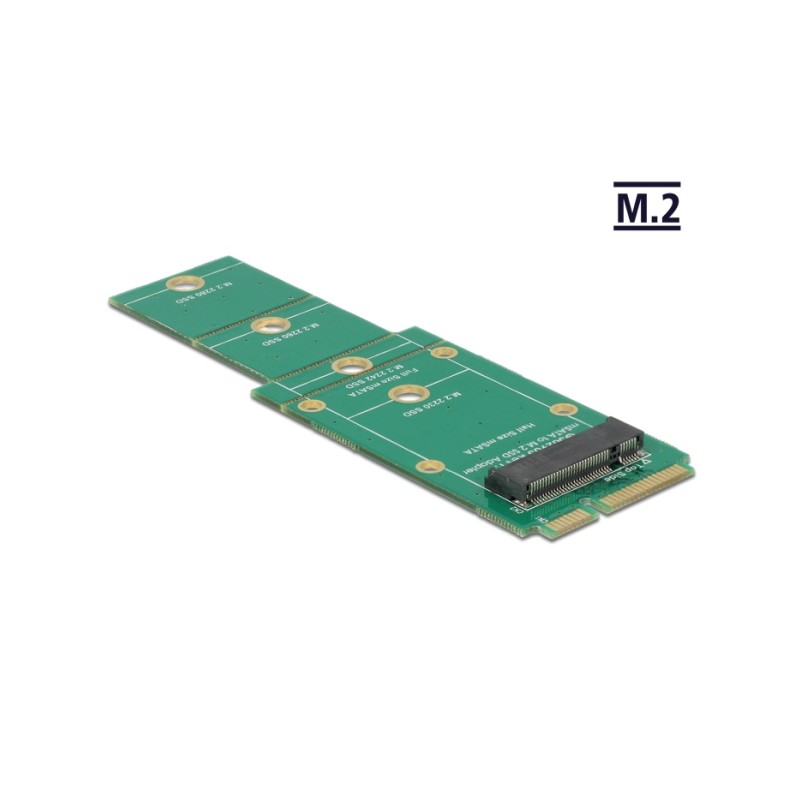 Delock Adapter M.2 NGFF mSATA - Radic úložište - M.2 - M.2 Card - mSATA