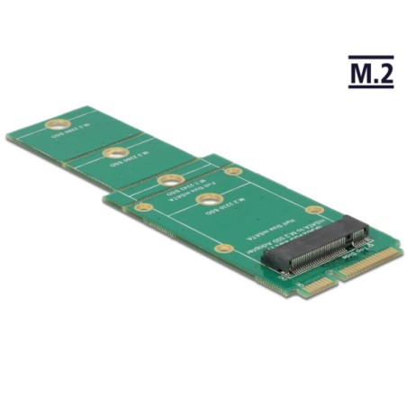 Delock Adapter M.2 NGFF mSATA - Radic úložište - M.2 - M.2 Card - mSATA