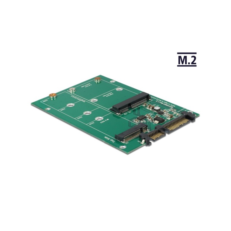 Delock Converter SATA 22 Pin 1 x M.2 NGFF + 1 x mSATA - Bay adaptér pro datový sklad - 2,5"/mSATA/M.2