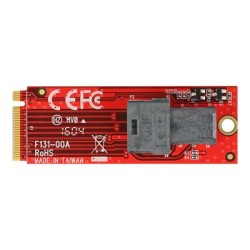 Delock - Adaptér rozhraní - SAS 12Gb/s - M.2 Card