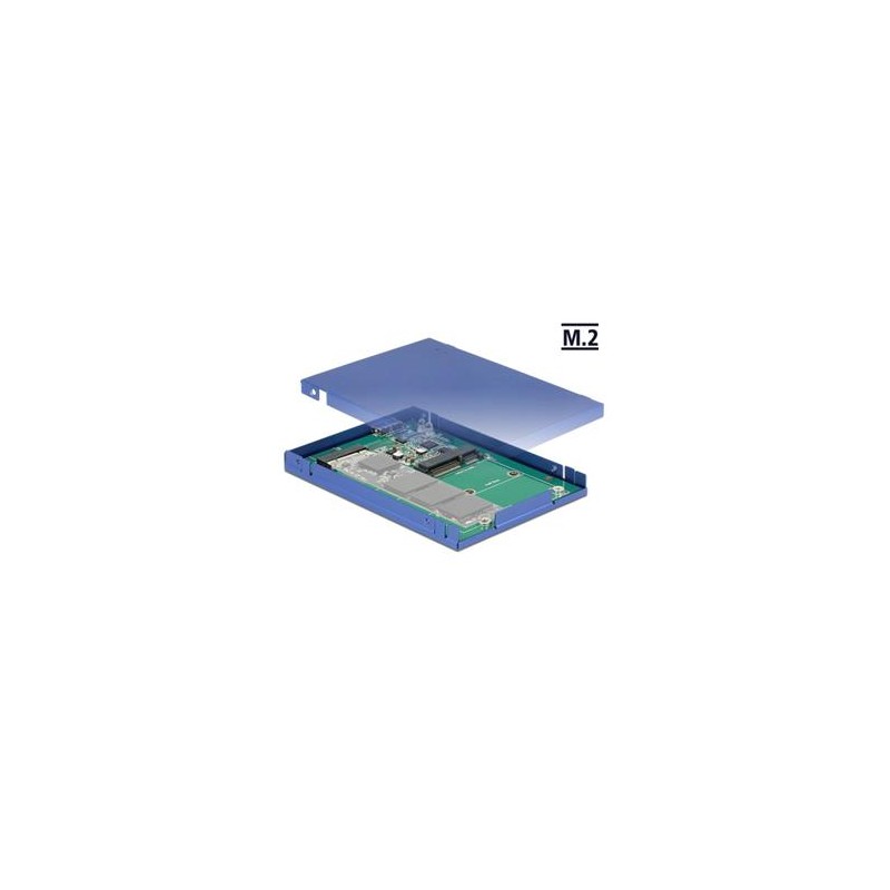 Delock - Kryt úložiště - M.2 Card / mSATA - USB 3.1 (Gen 2)