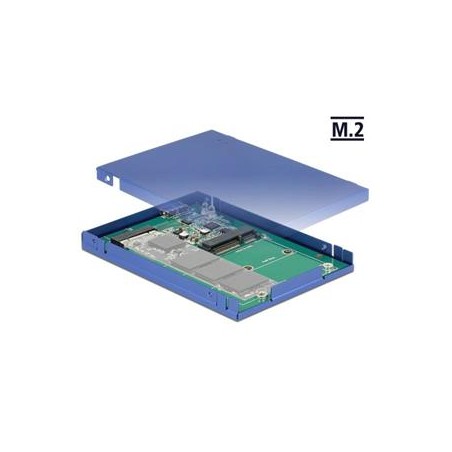 Delock - Kryt úložiště - M.2 Card / mSATA - USB 3.1 (Gen 2)