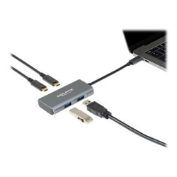 Delock - Rozbočovač - 2 x USB 3.2 Gen 2 + 2 x USB-C 3.2 Gen 2 - desktop